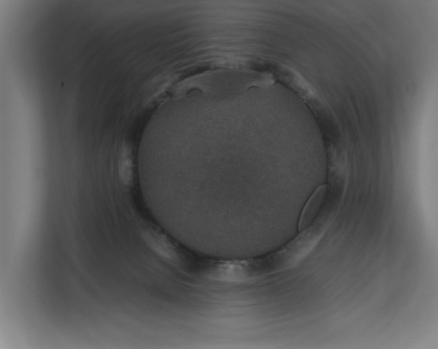 X0000111140080200907071057