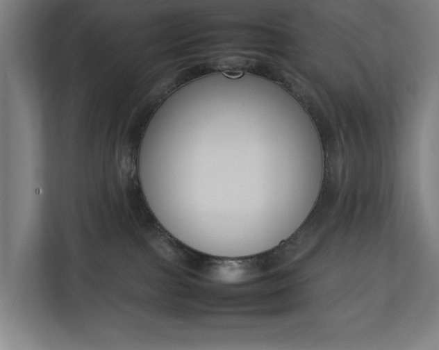 X0000111140091200907071057