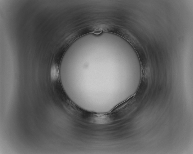 X0000111140095200907071057