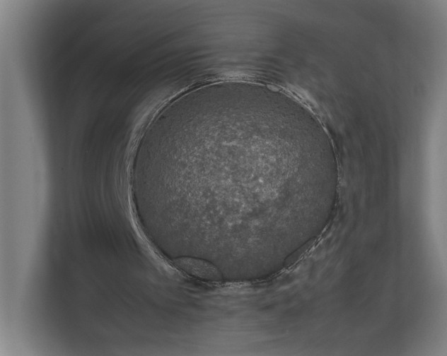 X0000111140097200907071057