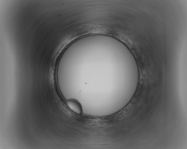 X0000111140098200907071057