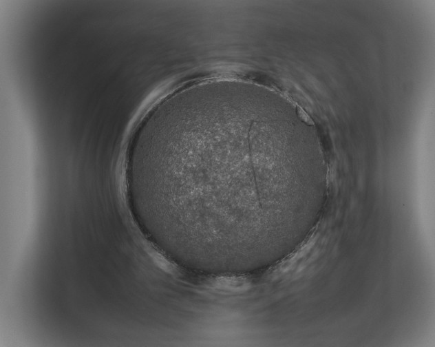 X0000111140101200907071057