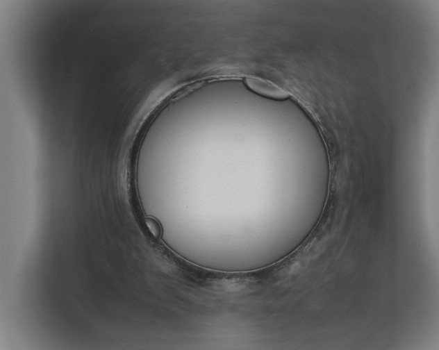 X0000111140103200907071057