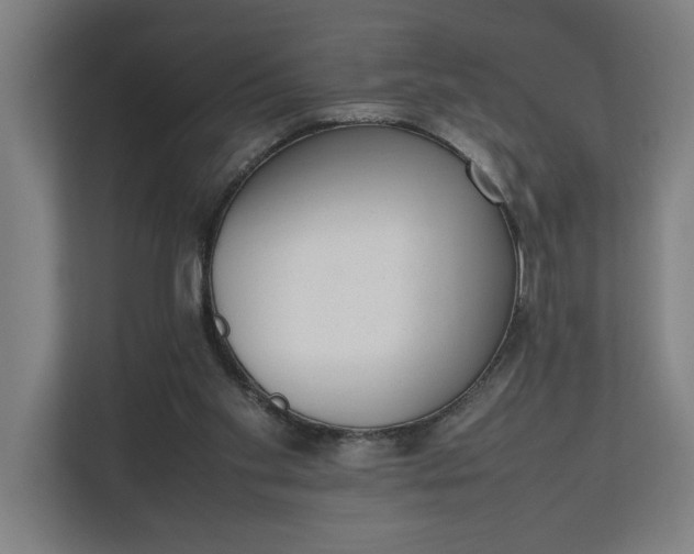 X0000111140109200907071057