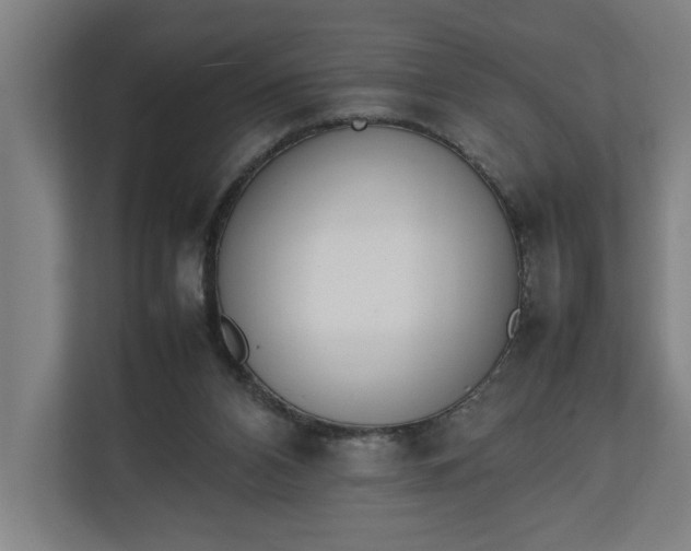 X0000111140112200907071057