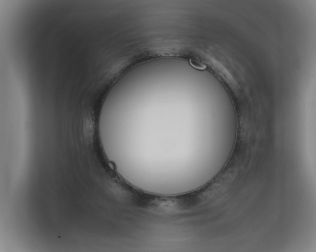 X0000111140113200907071057