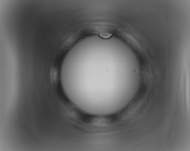 X0000111140123200907071056