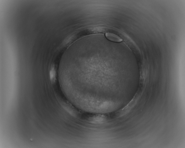 X0000111140124200907071056