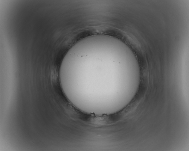 X0000111140129200907071056