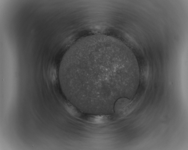 X0000111140130200907071056