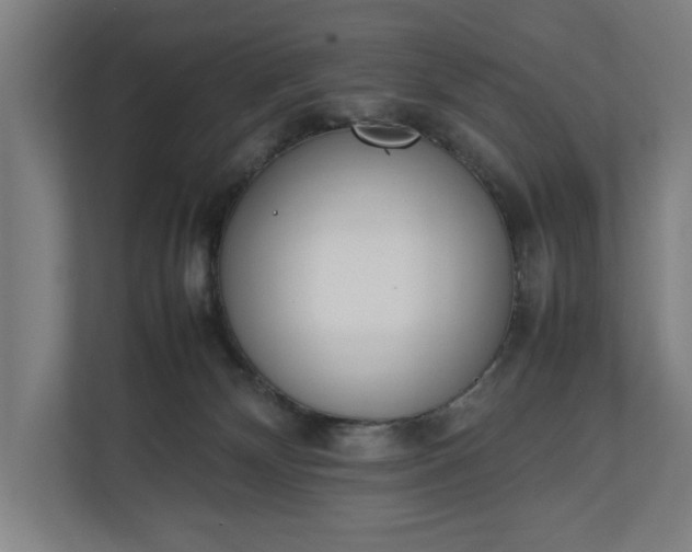 X0000111140132200907071056