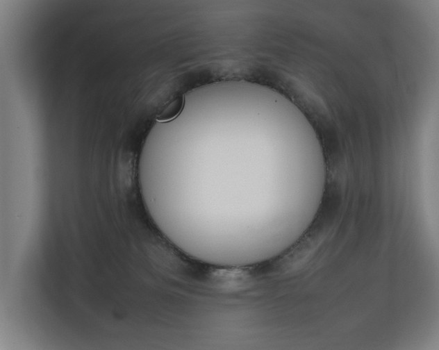 X0000111140133200907071056