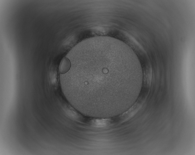 X0000111140134200907071056