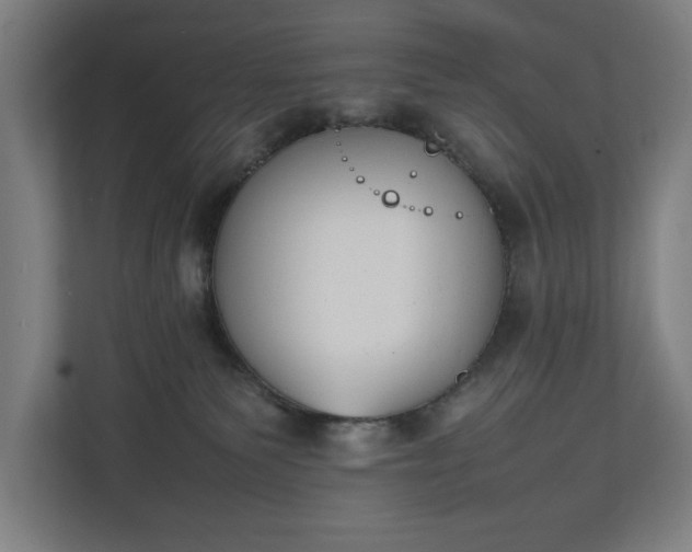 X0000111140135200907071056