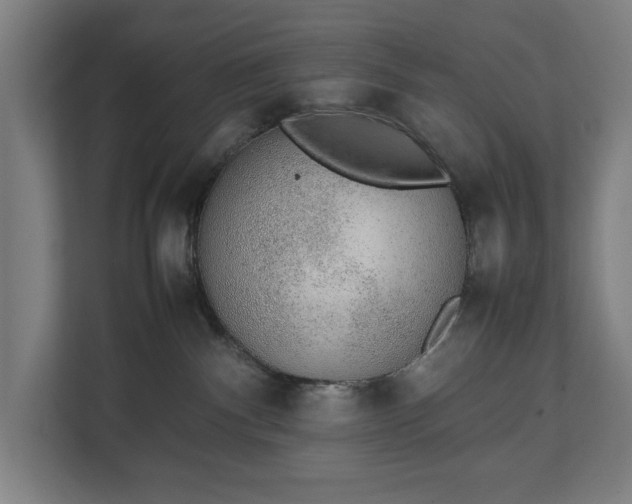 X0000111140140200907071056