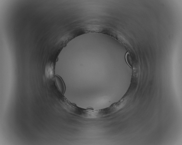 X0000111140143200907071056