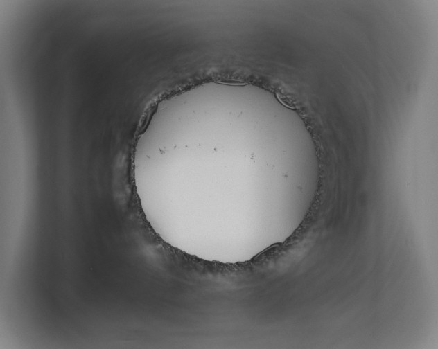 X0000111140144200907071056