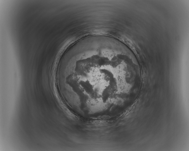 X0000111140145200907071056