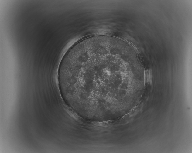 X0000111140147200907071056