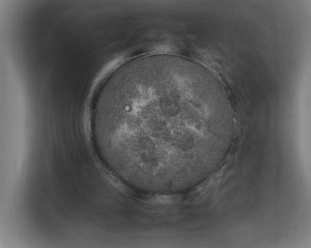 X0000111140149200907071056