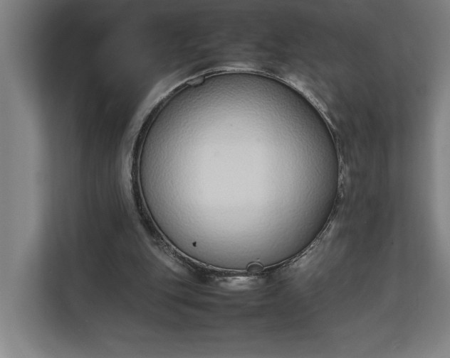 X0000111140151200907071056