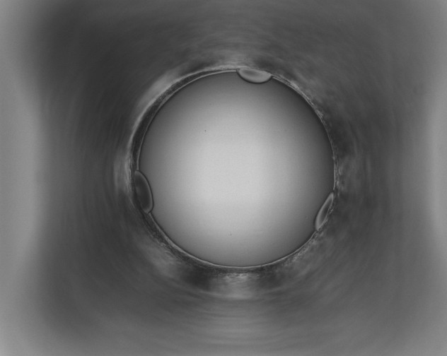 X0000111140152200907071056