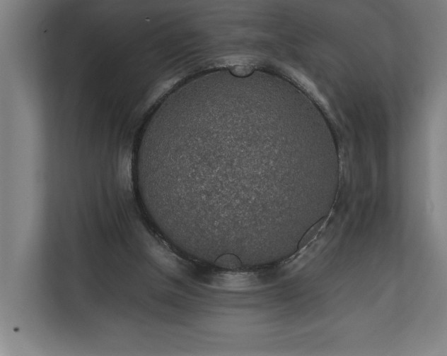 X0000111140154200907071056