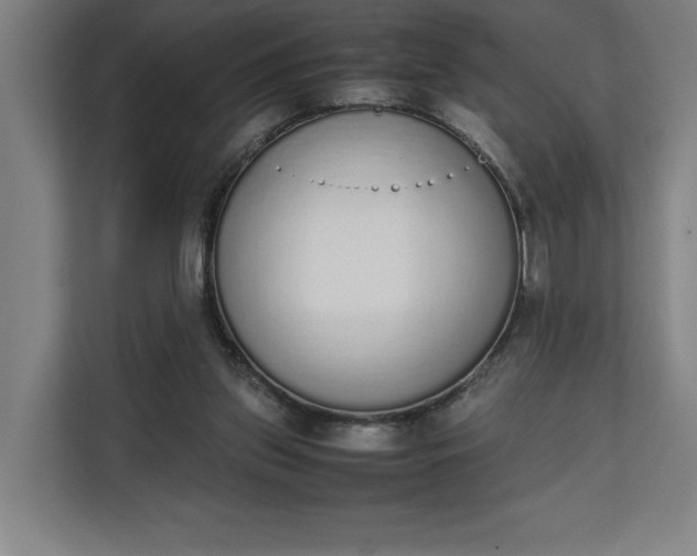 X0000111140157200907071056