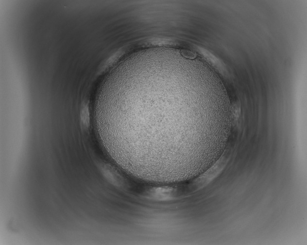 X0000111140158200907071056