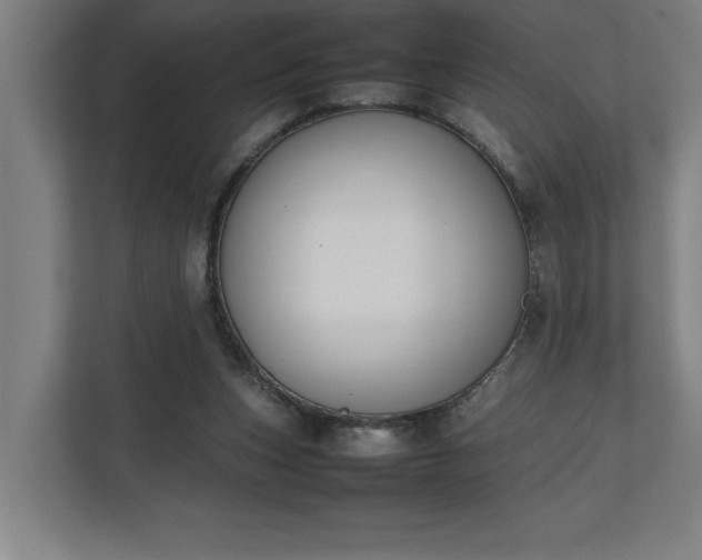 X0000111140159200907071056