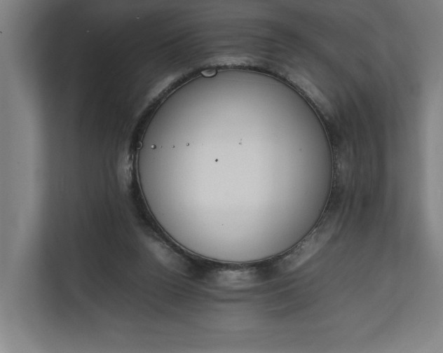 X0000111140160200907071056