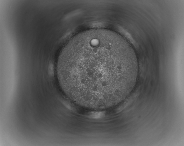 X0000111140161200907071056