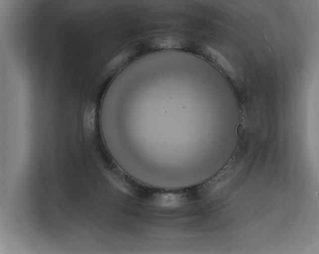 X0000111140163200907071056