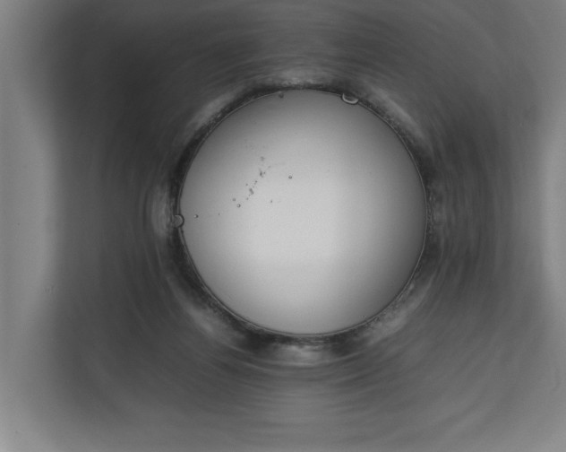 X0000111140164200907071056