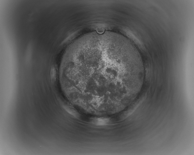 X0000111140165200907071056