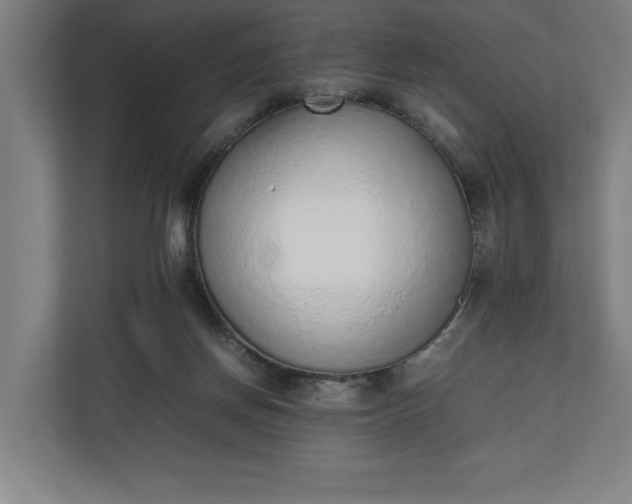 X0000111140166200907071056