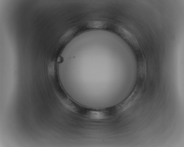 X0000111140167200907071056