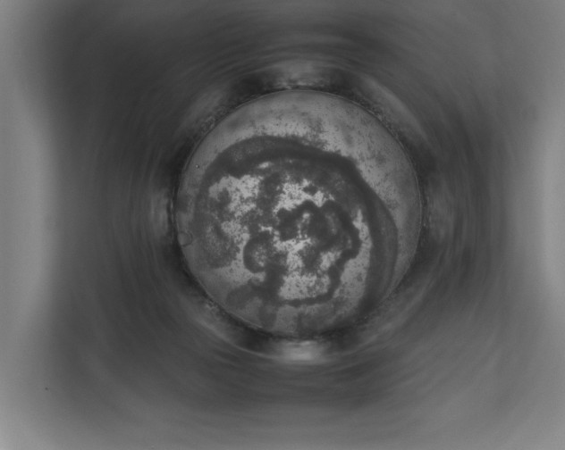 X0000111140169200907071056