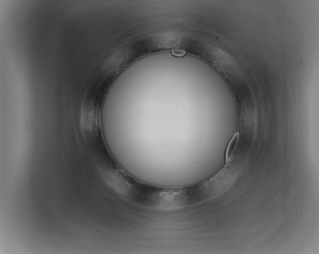 X0000111140172200907071056