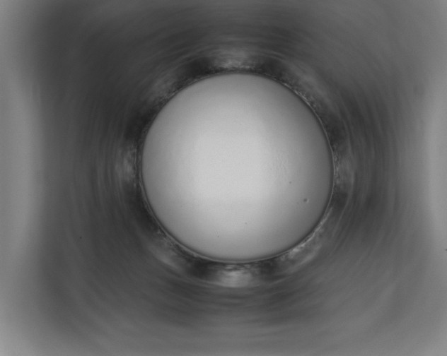 X0000111140175200907071056