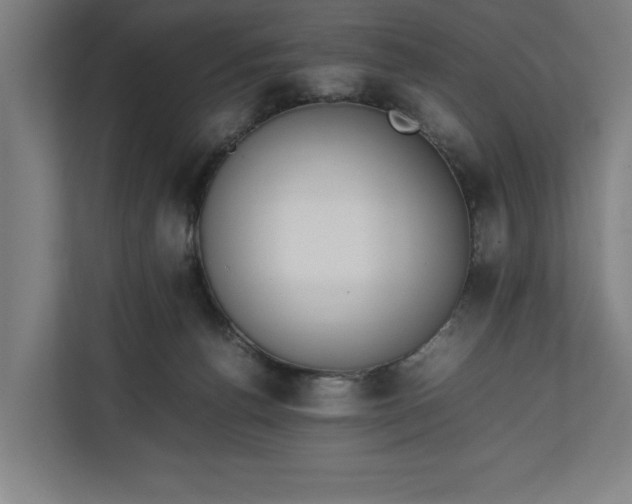 X0000111140176200907071056