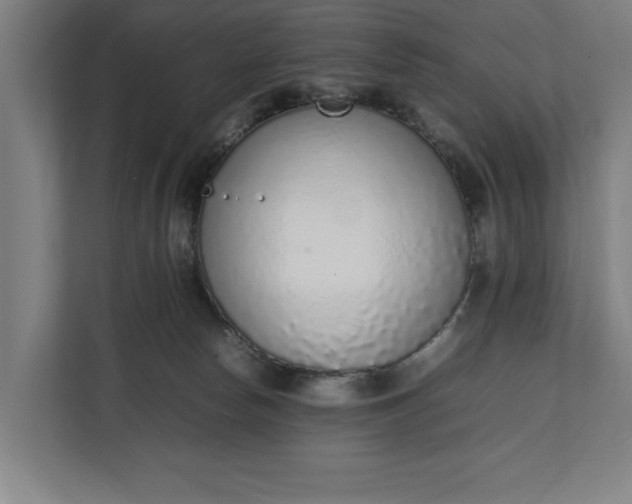 X0000111140178200907071056