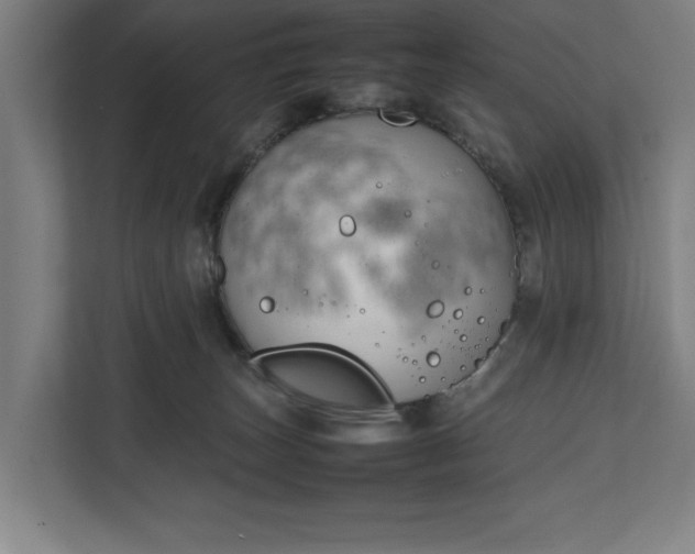 X0000111140179200907071056