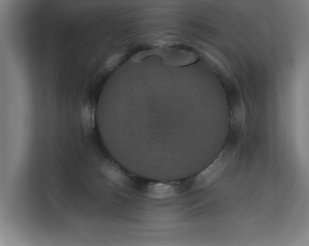 X0000111140180200907071056