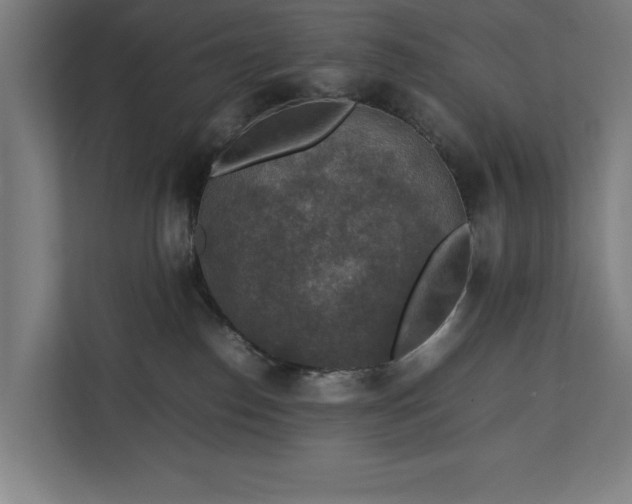 X0000111140186200907071056