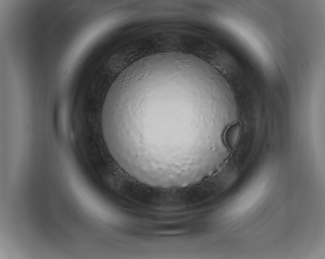 X0000111140189200907071056