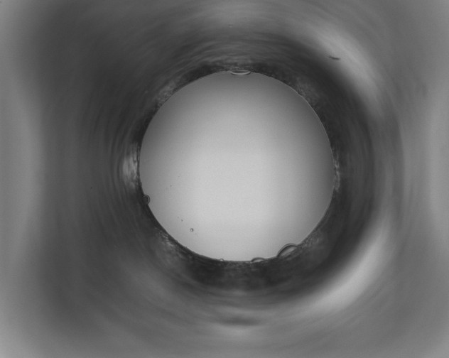 X0000111140190200907071056