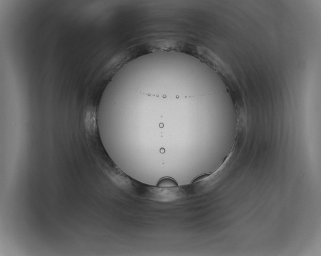 X0000111140191200907071056