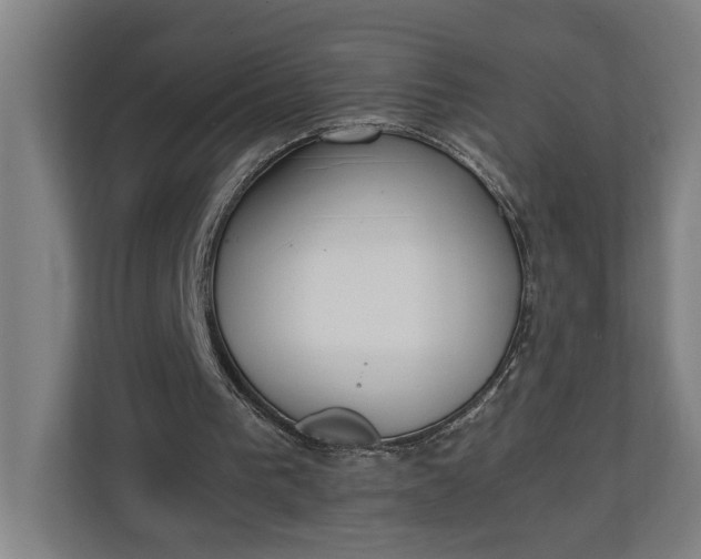 X0000111140193200907071056