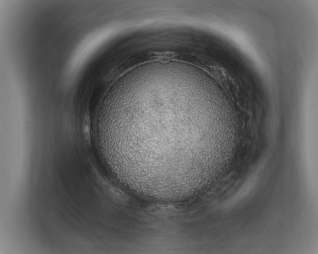 X0000111140194200907071055